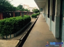 陆阳中学走走！